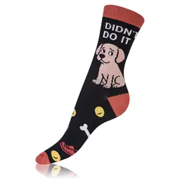 CRAZY SOCKS BOX - maro - Master