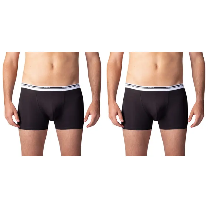 BOXER COLOURS 2x - Master