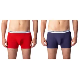 BOXER COLOURS 2x - Master